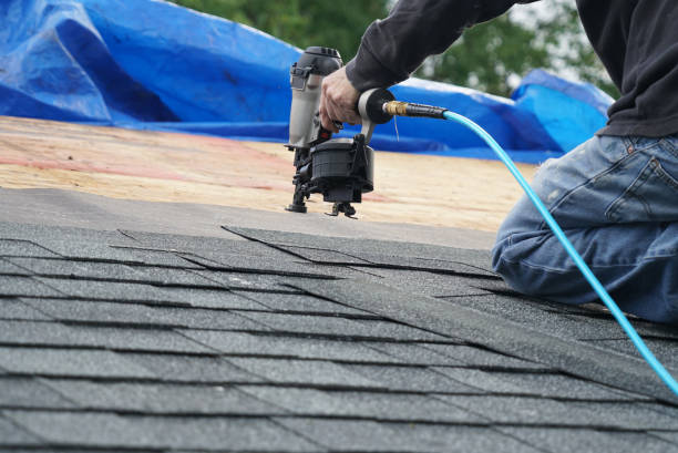 Best Roof Ventilation Installation  in Echelon, NJ
